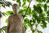 Muse Massena